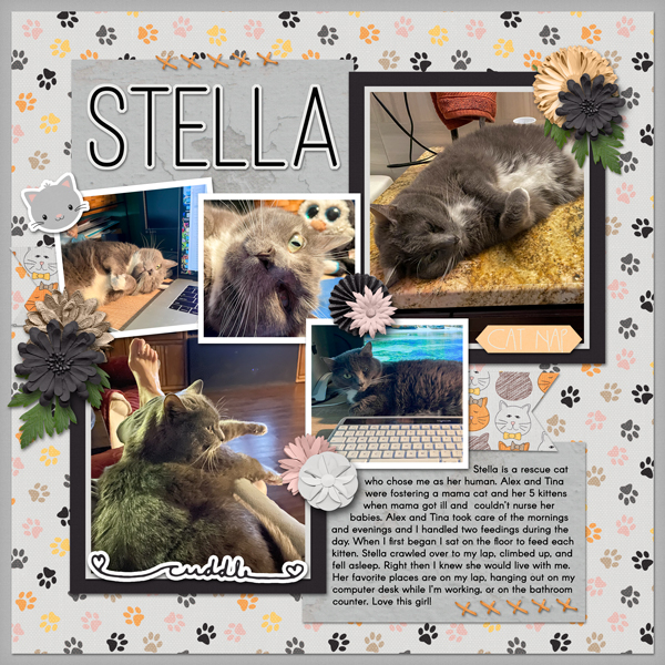 Stella