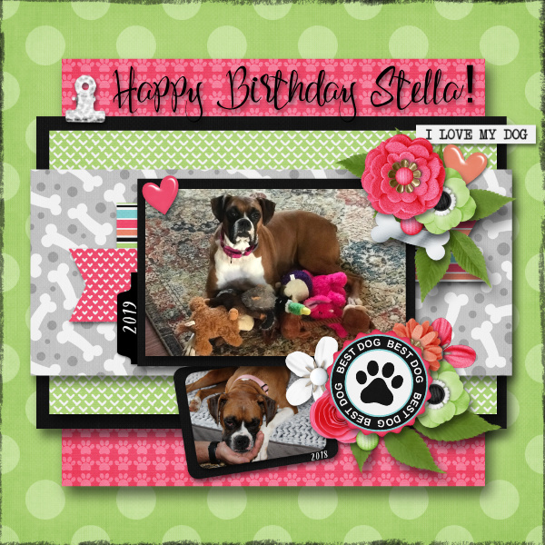Stellas Birthday