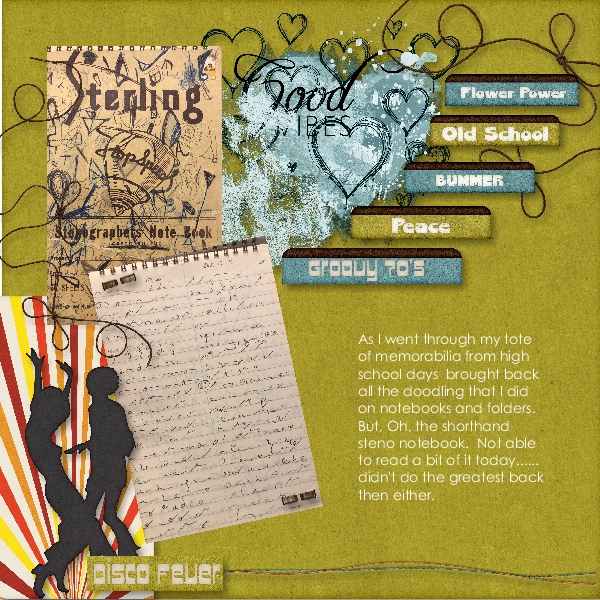Steno Book