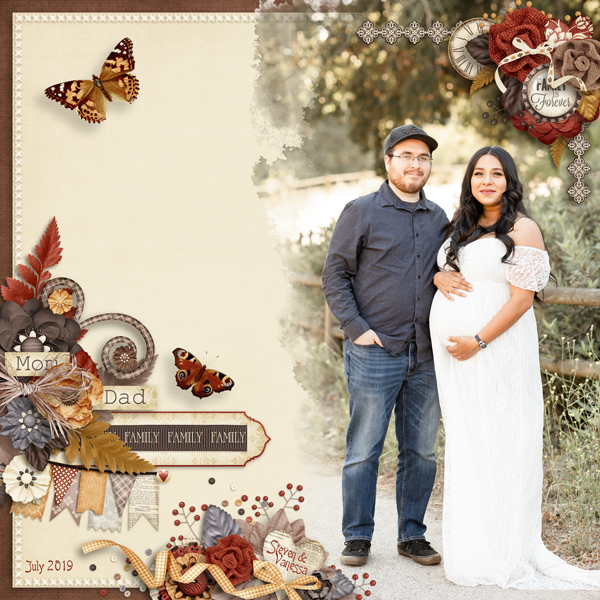 Steven and Vanessa Maternity Shoot