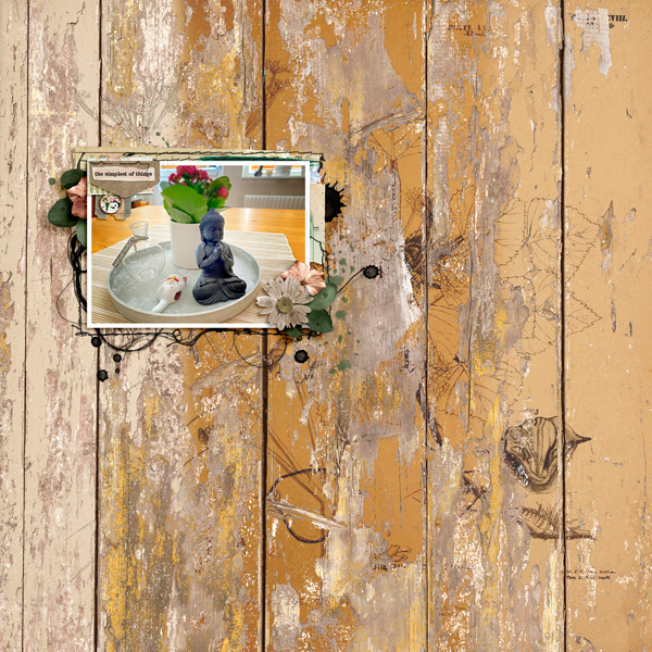 Still Life