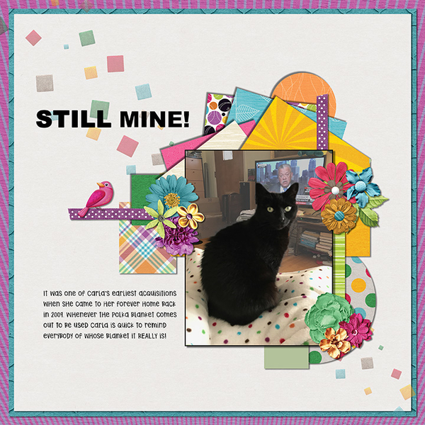 STILL MINE!