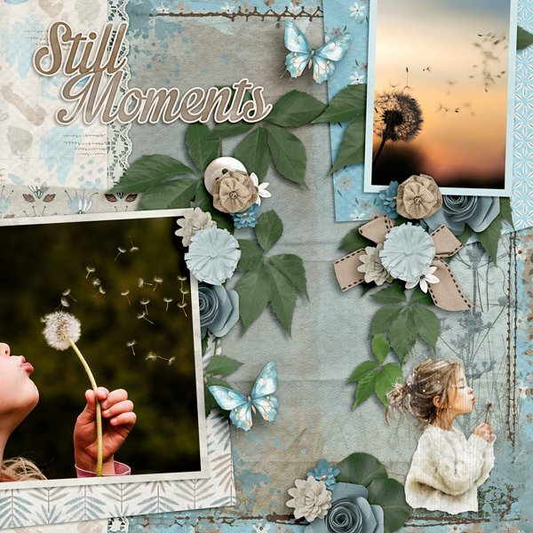 Still-Moments-web600.jpg