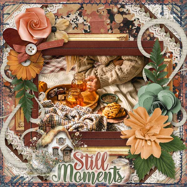 Still Moments