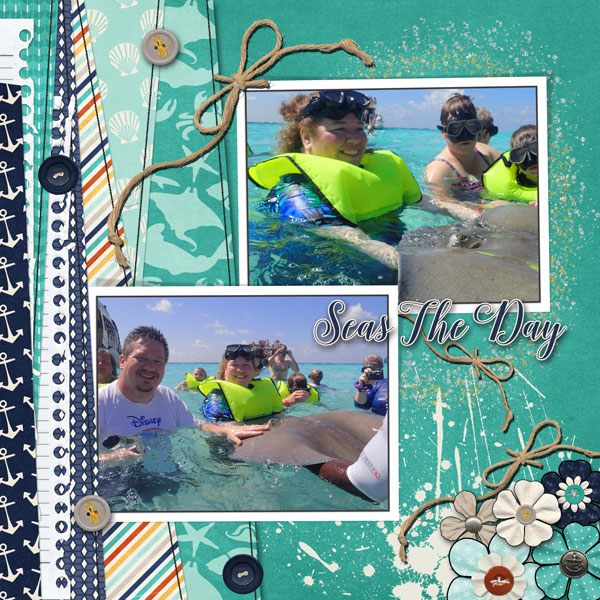 Stingrays