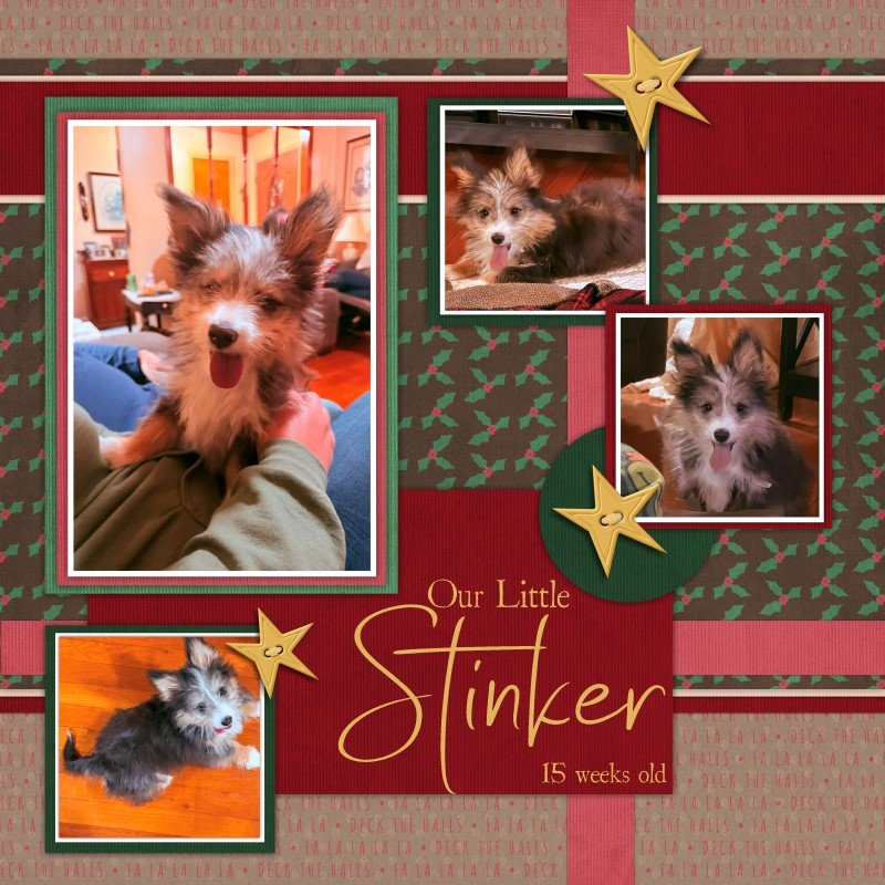 Stinker