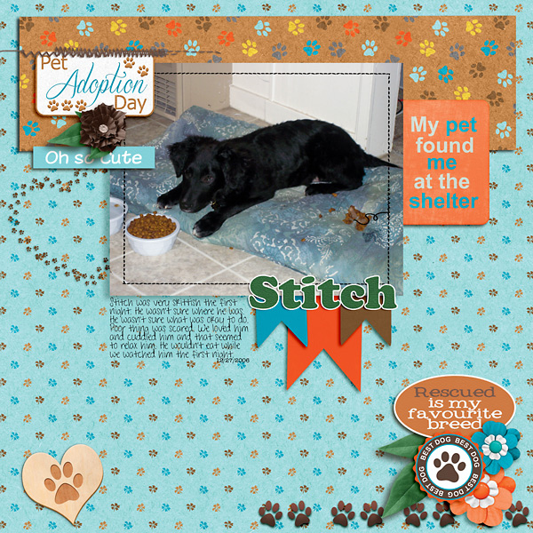 Stitch First Night