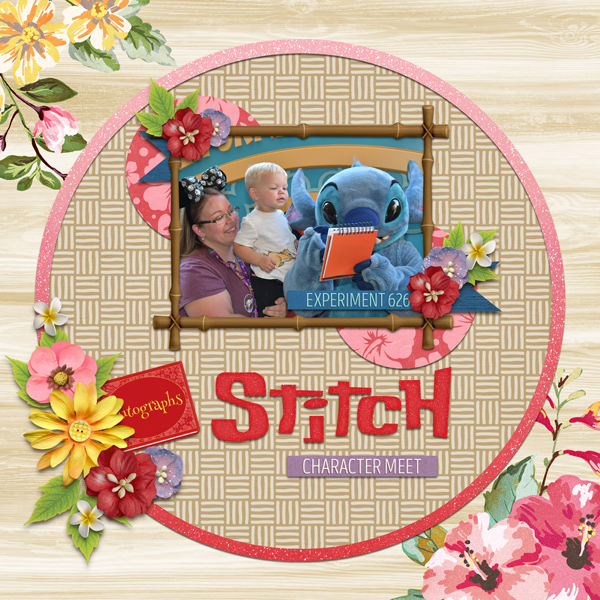Stitch