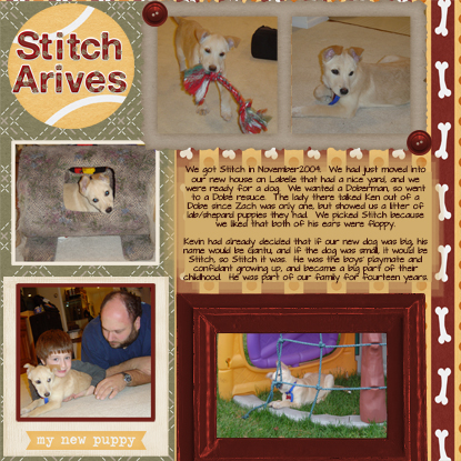 Stitch_comes_home_upload
