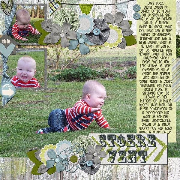 Stoere vent