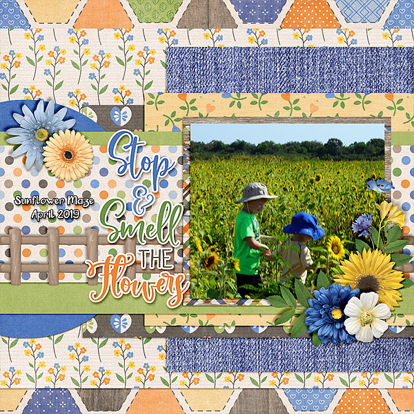 stop-and-smell-sunflowers