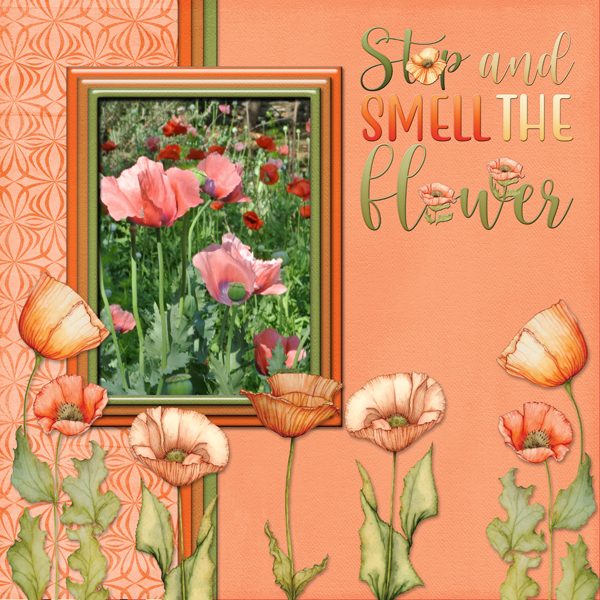 Stop and smell the flower