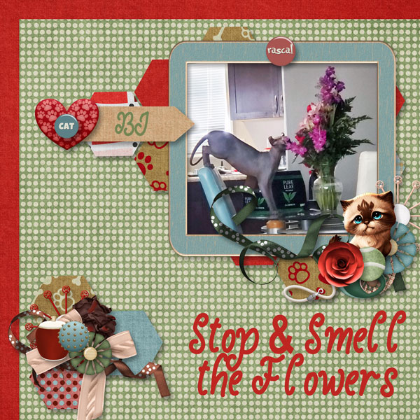 Stop and Smell The Flowers