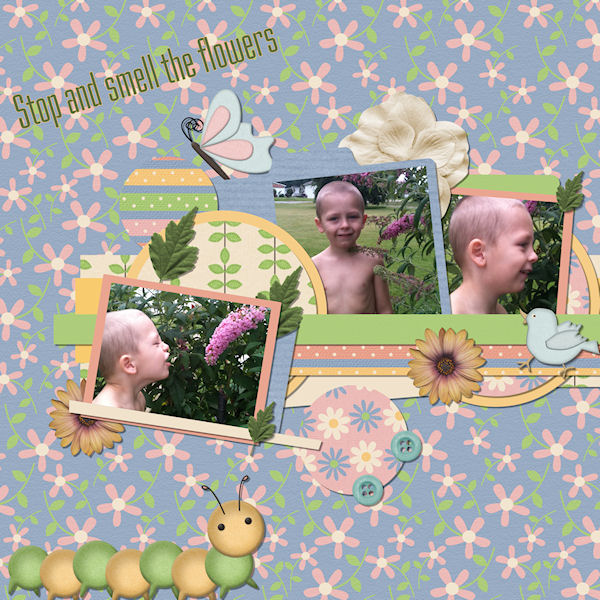 Stop and Smell the Flowers