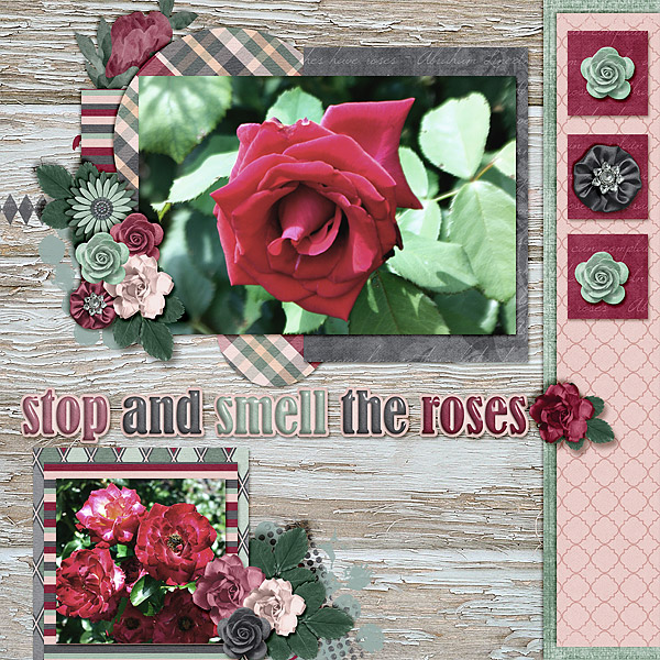 stop-and-smell-the-roses