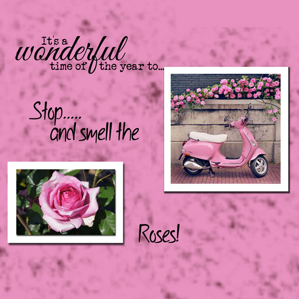Stop and Smell the Roses