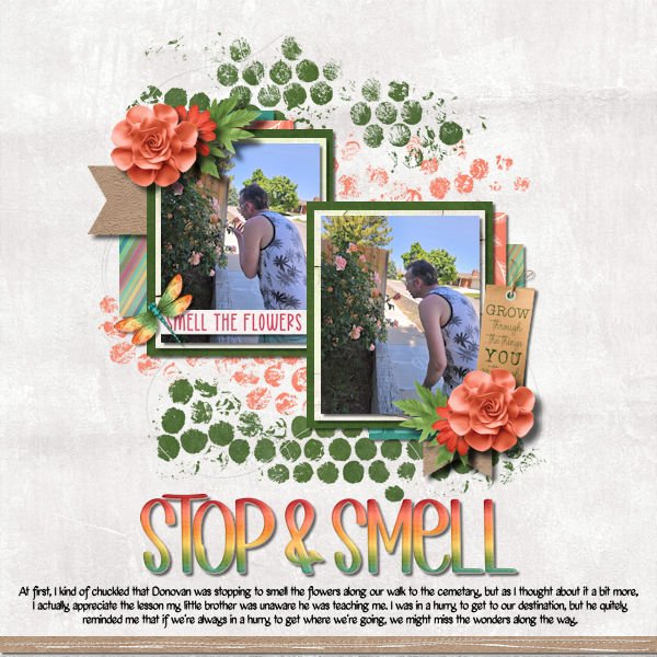 Stop and Smell
