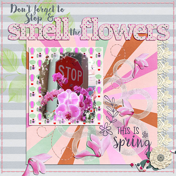 Stop + Smell the Flowers