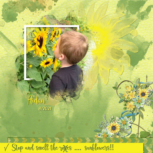 Stop + Smell the Sunflowers!