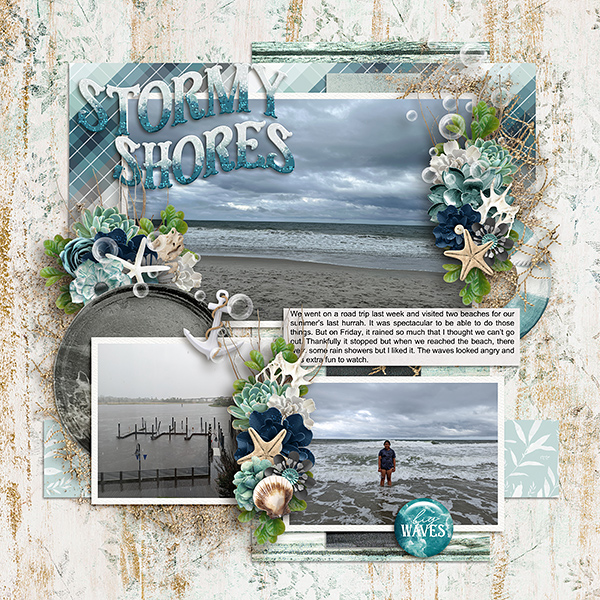 Stormy Shores