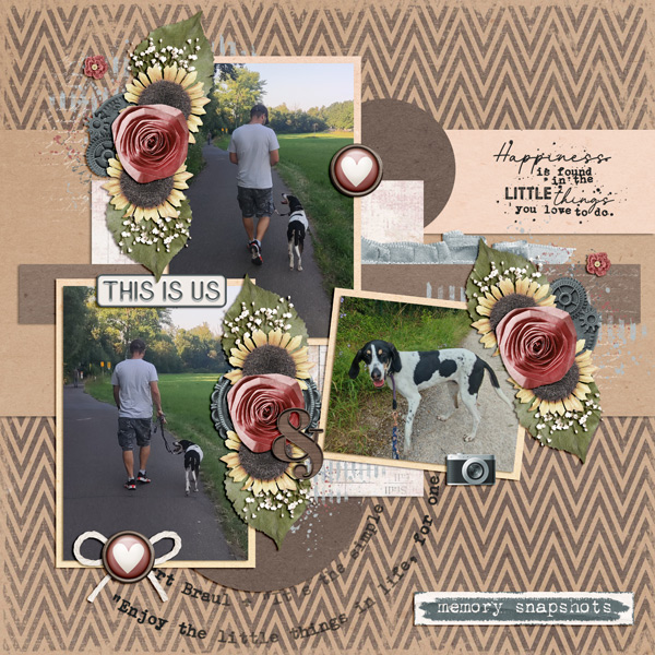 story snippets
