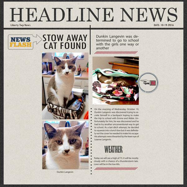Stow Away Cat