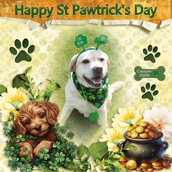 StPawtricksDay-brit-chick.jpg