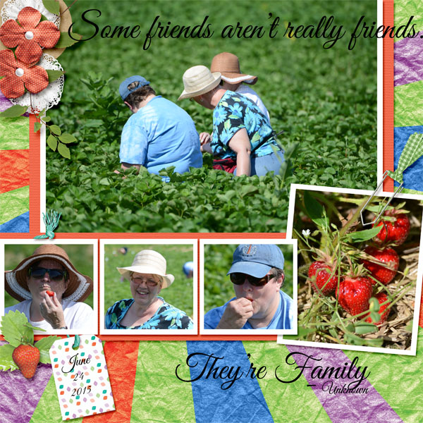Strawberries 2015