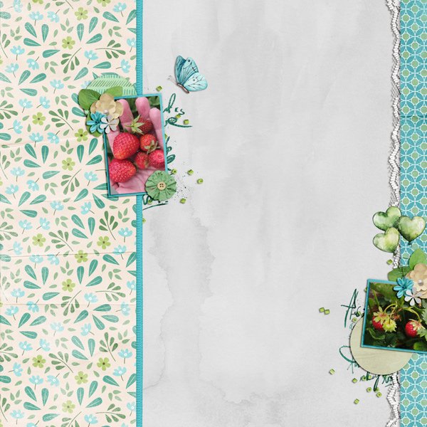 strawberries in spring