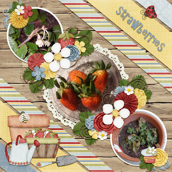 strawberries