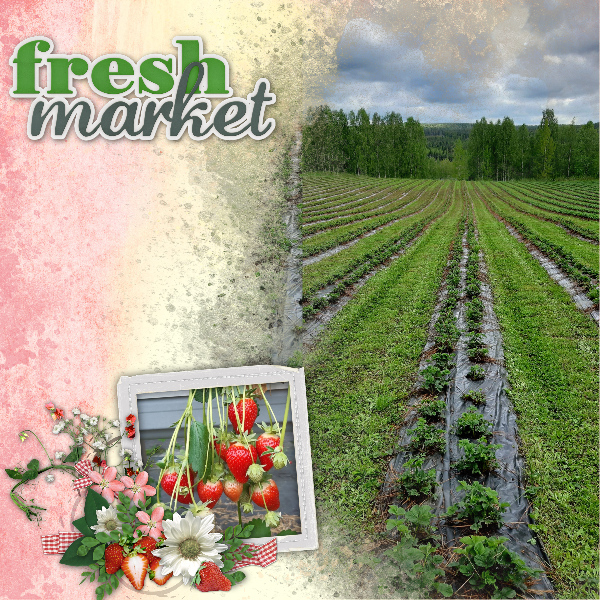 Strawberry field