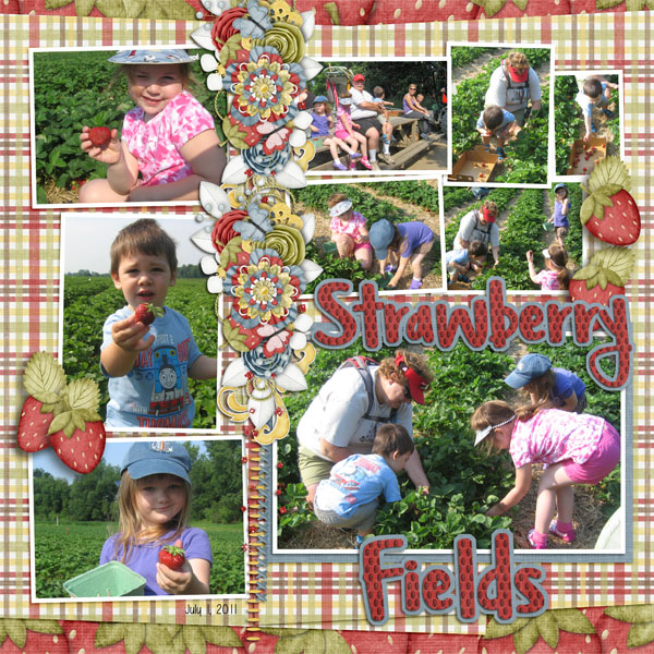 Strawberry Fields