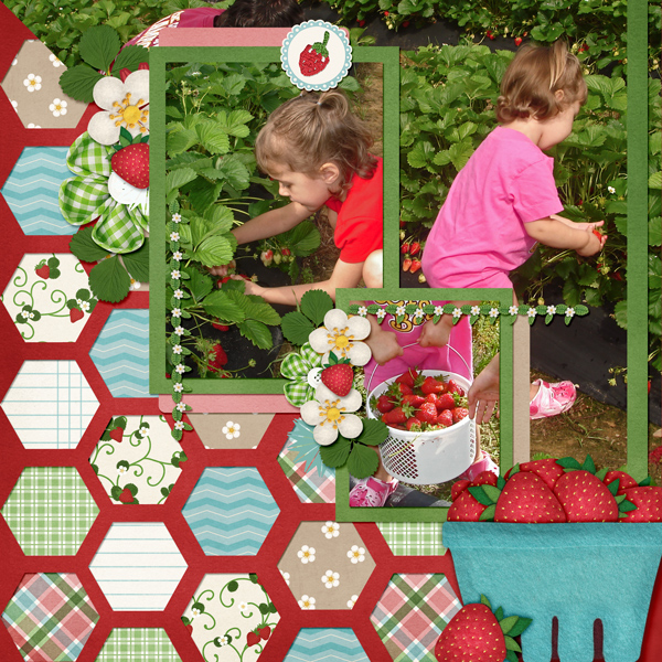 Strawberry Picking 2009