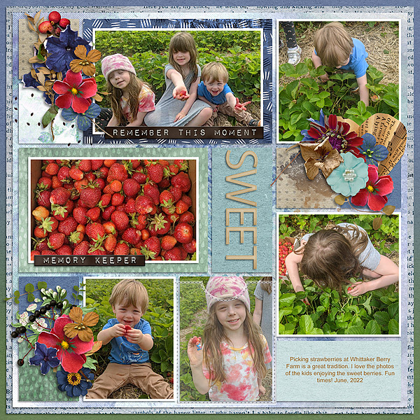 Strawberry Picking 2022