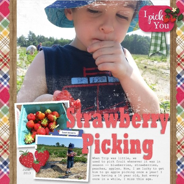 Strawberry Picking - June 2013.jpg