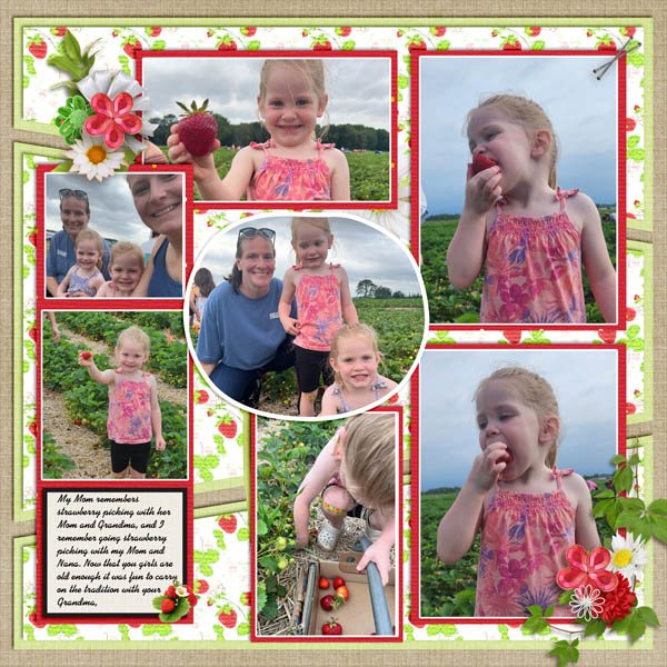 Strawberry Picking W.jpg