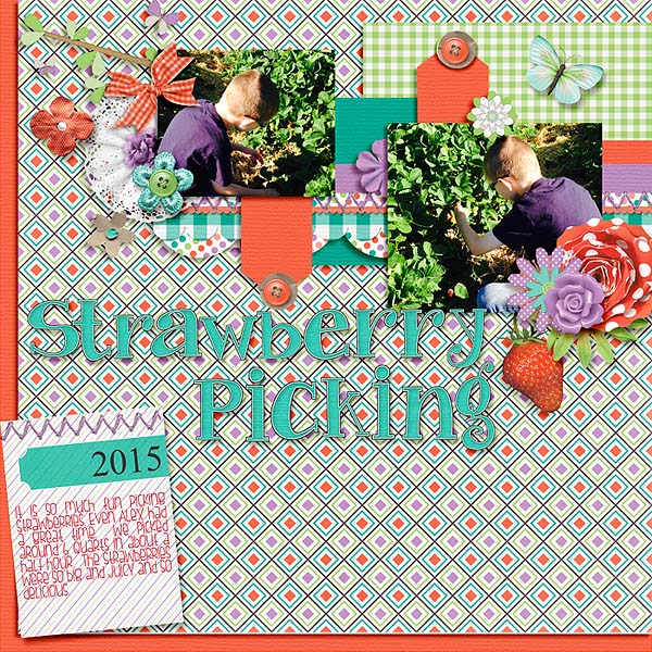 Strawberry Picking