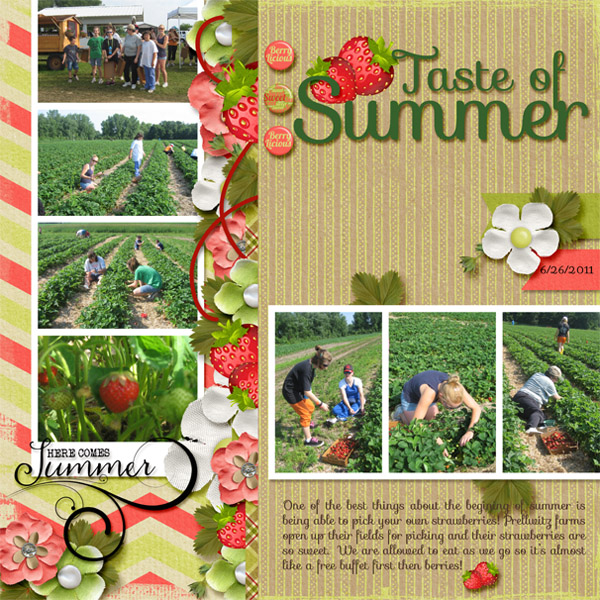 Strawberry Picking