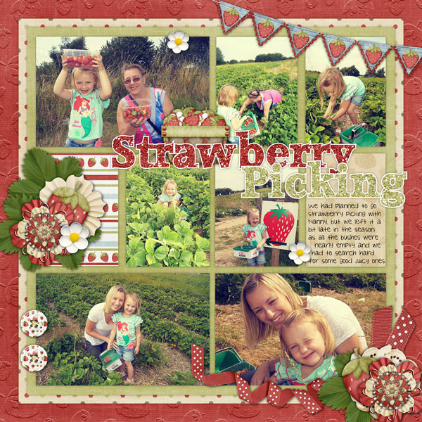 strawberry picking