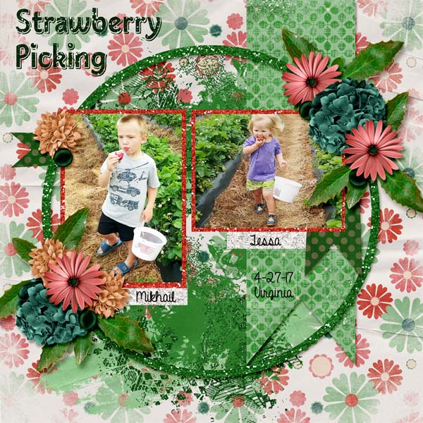 Strawberry picking