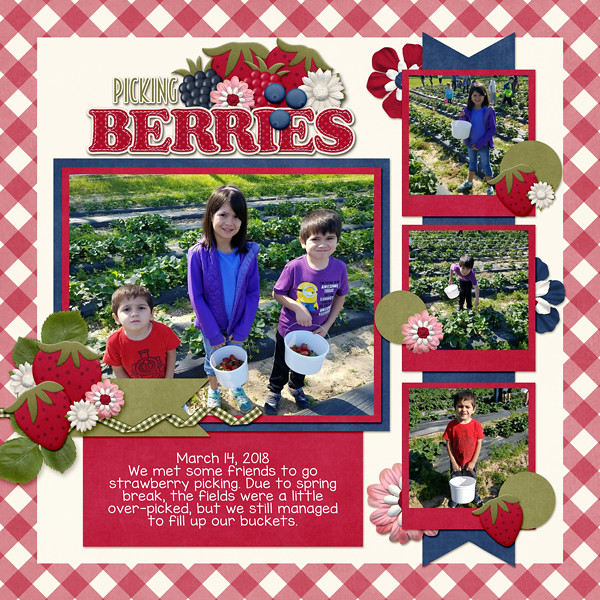 Strawberry Picking