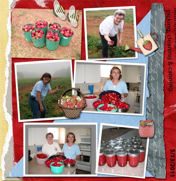 strawberry picking