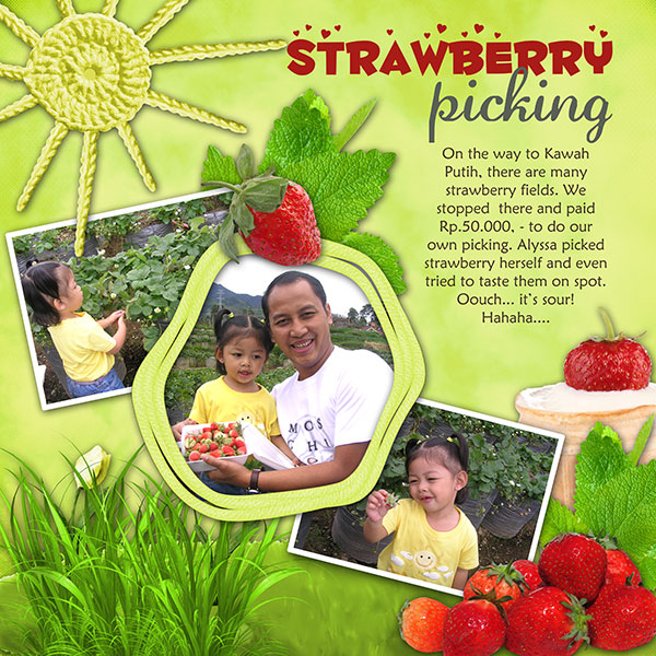 Strawberry picking