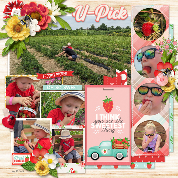 Strawberry picking