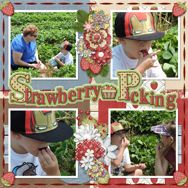 Strawberry Picking