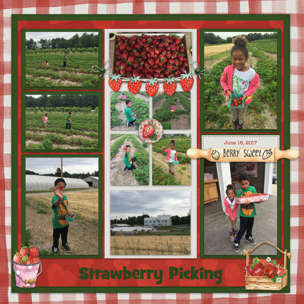 Strawberry Picking