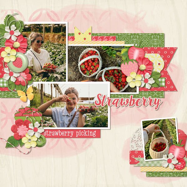Strawberry picking