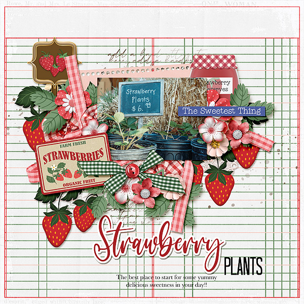 Strawberry Plants