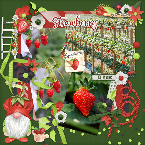 Strawberry