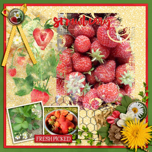Strawberry3